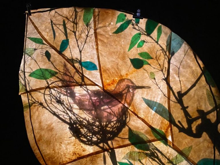 L'arbre et l'oiseau 2-Crédit Photo : Adrien VERNAY